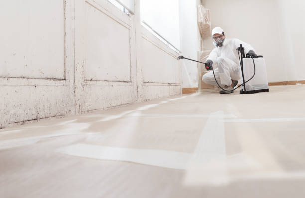 24/7 Emergency Commercial Mold Remediation experts in Davidsville, PA